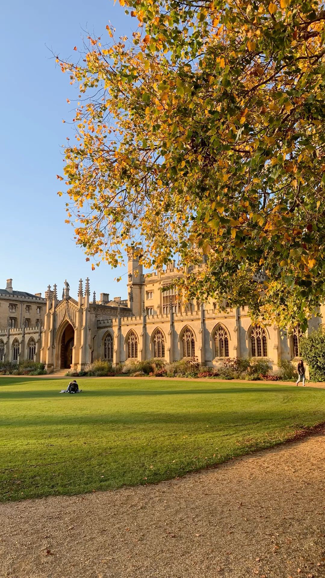 Universidad de Cambridge